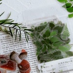 압화 스티커 다꾸 다이어리 꾸미기 데코 식물 꽃잎 나뭇잎 투명 씰 조각 일러스트 감성 꾸밈 소재 1개 7 꽃잎