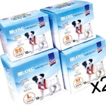 주펫스토리 10매 루나 X2 매너가드 배변용품 애견 수컷용 29WB6433FO