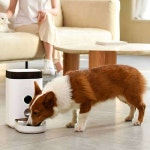 DONGNESS 반려견 반려묘 사료 자동배식기 영상탑재 3 6L HD 비디오 버전 2 2L급수 1개
