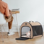 펫츠핏 PETSFIT 휴대용 개 상자 여행용 - 19 가볍고 넓고 설정이 간편하며 두꺼운 매트가 튼튼한 접이식 사육장 카키색 19 0 L x 16 5 W... 