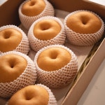 과일꾼 25년수확 햇배 나주배 가정용 15kg