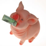 천상인터내셔날 cavort 진짜 리얼 돼지저금통 1개