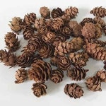 덕우 솔방울 미니 100g 트리꾸미기 크리스마스파티용품