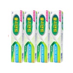 폴리덴트 틀니 의치 부착재 접착제 무향 내추럴 X4개