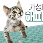 가성비갑 해피 스크래쳐 고양이 장난감 판 매트 양면 반려묘용품