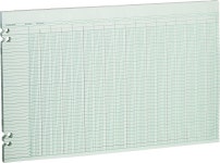 ACCO BRANDS 윌슨 존스 회계 시트 30열 11 x 17 녹색 루즈 100장 팩 11 x 17 inches G5030