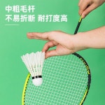 내구성 안정성 오리 배드민턴 속도 제품 10pcs 버디를 모델 소재 F2202S