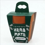 작은 실내 반려 식물 키우기 화분 원예 초록 재배