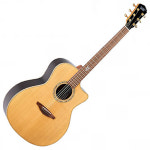 Veelah 비일라 어쿠스틱기타 V5-GAC