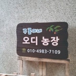 주말농장 어린이집 나무간판 푯말 텃밭 팻말 나무문패 4