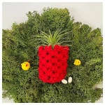 미술교구- 마크라메 파인애플 이오난사 화분 만들기 1인용 실습교구