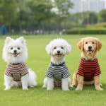 에이치 강아지옷 반려동물 스트라이프 패치 티셔츠 포인트 스트라이프티셔츠 공장판매최저가 특별 가 진행중