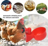 치킨 오리 음용컵 자동 음용 닭 모이통 플라스틱 가금류 농장 물 급수 도구B B36PCS