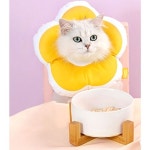 고양이 키티요요 플라워 넥카라 S 1P 수술 강아지수술넥카라