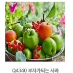 명화그리기 사과 유화 피포 액자 세트 그림 페인팅 색칠 풍경화 아크릴화 초보 캔버스 쉬운 따라 하기 도안 취미g