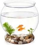 미니 플라스틱 어항 38온스 장식용 작은 둥근 파티 깨지지 않는 수족관 중앙 화병 수경 재배지 가정 장식