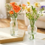 수경재배 유리병 유리 화병 미니 디퓨져 화분 꽃병 2p 세트 호리형2개