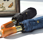 파라체이스 파라체이스 2중 캐노피 프리미엄 전자동 3단우산 3236