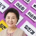 30장 요양원 자수 이름표 이름 기입형 어르신 명찰 속옷 양말 부착용 작은 명찰 W-4 하늘색테두리 대형 46x30mm 폰트1