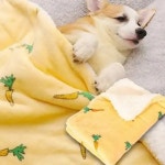강아지 담요 고양이 담요 극세사 양털 반려동물 겨울 당근 패턴