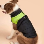 대형견 겨울옷 강아지의류 펫패션 개옷