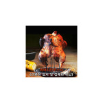 캔버라 비어치킨로스터 비어치킨 치킨로스터 통닭 직화구이