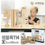 브레인숲 썸블록 학습세트 114 유치원 어린이집 학원 교습 교구 단체 창의력