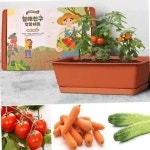 베란다텃밭 채소키우기 화분세트