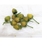 소품스타일 12개입 청 산딸기 모형 과일모형 인조과일 그린