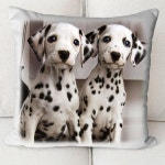 인테리어 쇼파 쿠션커버 30x30 40x40 45x45 50x50 60x60 달마시안 AM-038