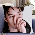 쌍궤 하여 진자오 쿠션 베개 수면아이템 굿즈 중국배우 옵션16