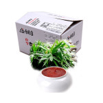 향적원 향적원 산죽대 장아찌 5Kg 2개