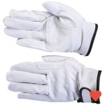 생활 공구 동호상사 장갑 돈피 내피 10조