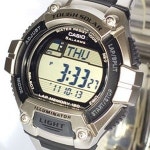 카시오 W-S220D-1A