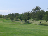 제주도핀크스골프 중문권 1일 P2