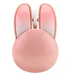 건평정보통신 아이플렉스 WM-RABIT