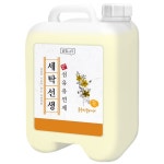 아토세이프 세탁선생 섬유유연제 블루밍 플라워 13L