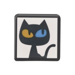 파파레트 클렌징바 도둑냥이 100g