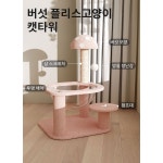 다기능 일체형 튼튼한 고양이놀이터 버섯 블리스고양이 캣타워 1개