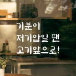 모노먼트 모노먼트 인테리어 붓글씨 혼체 레터링 스티커 - 기분이 저기압일 땐 고기앞으로 L 흰색 LJH-070
