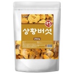 웰빙 상황버섯 분말 가루 250g