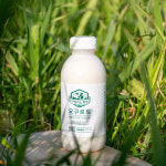 아침미소목장 동물복지 제주 요구르트 속편안한 마시는요거트 플레인 500ml