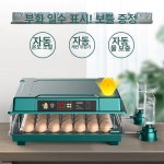 자동 인공부화기 인큐베이터 오리 양계장 가금류 조류 부하기 사육장 알 병아리 메추라기