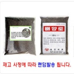 혼합배양토