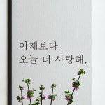 모노먼트 힐링 글귀 감성 레터링 스티커 - 어제보다 오늘 더 사랑해 S L-101