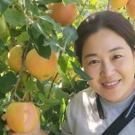 키움농원 문루즈 사과나무 묘목