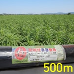 참깨비닐 90x500m 2구 유공 멀칭비닐