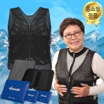 한솔 Hansol 한솔 아이스 쿨 조끼 냉매팩 쿨조끼 매쉬 쿨링 냉감 조끼 L