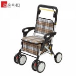 라온아띠 성인용보행기 KCS-303