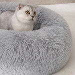 온빛3 반려동물 고양이 방석